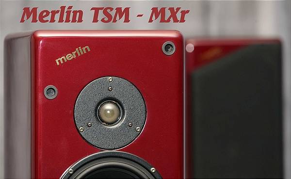 Merlin TSM Speaker
